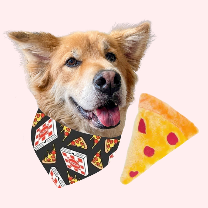 Pizza Bandana & Toy