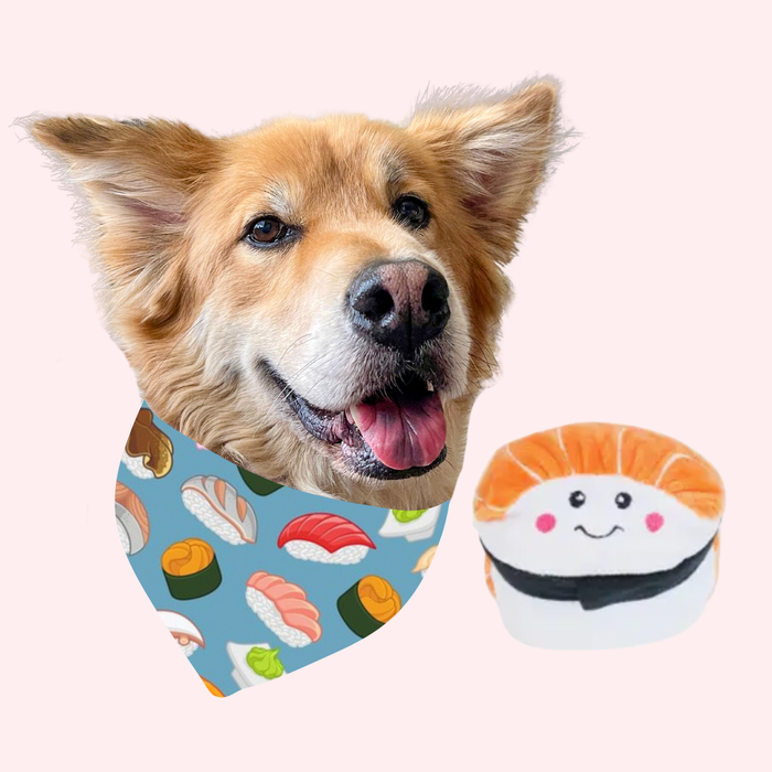 Sushi Bandana & Toy