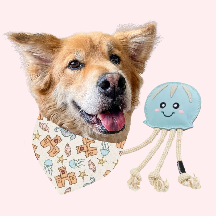 Beach Bandana & Toy