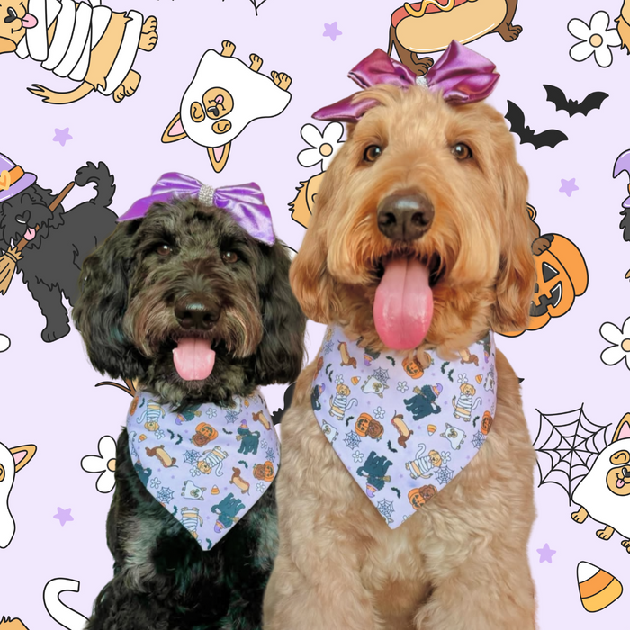 Spooky Dogs Pet Bandana
