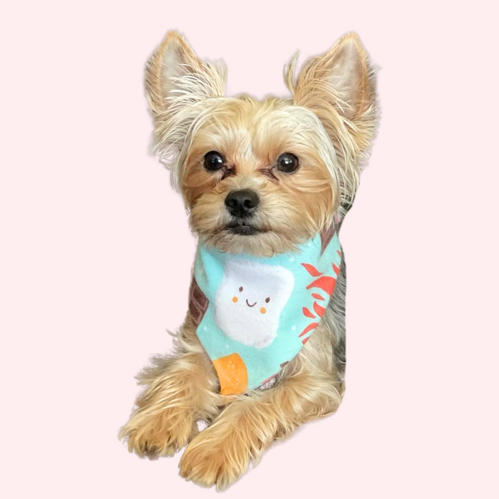 S'mores Pet Bandana