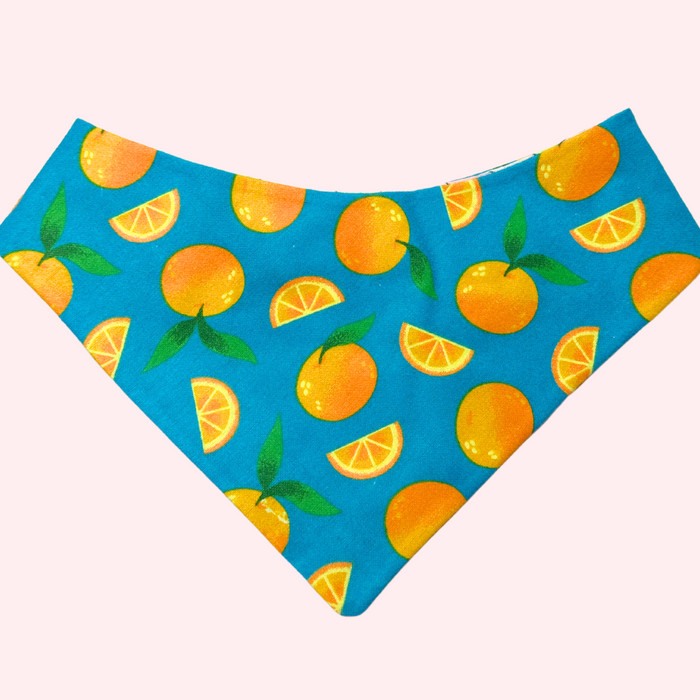 Oranges Pet Bandana
