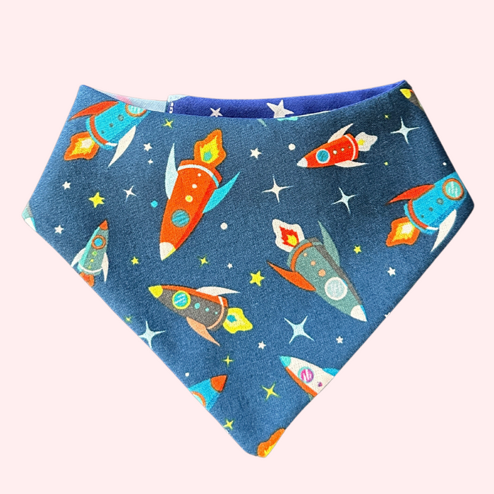 Take Me To The Moon Pet Bandana