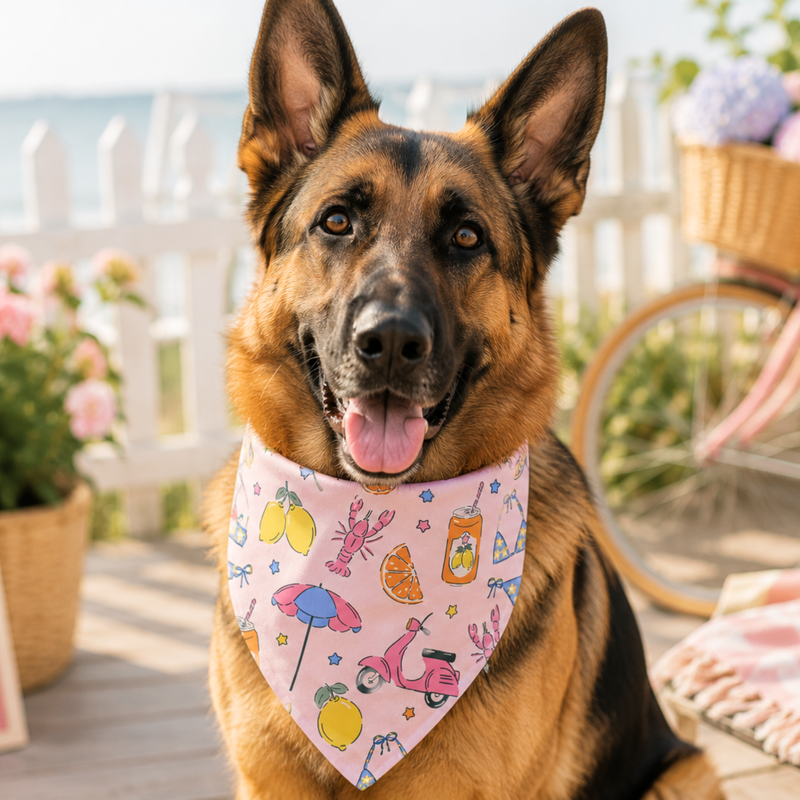 Bandanas