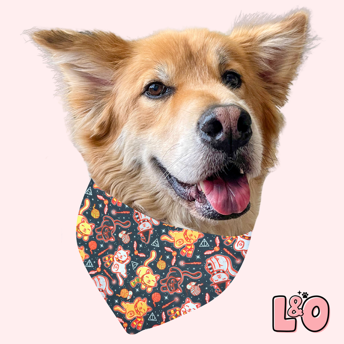 Wizards Pet Bandana