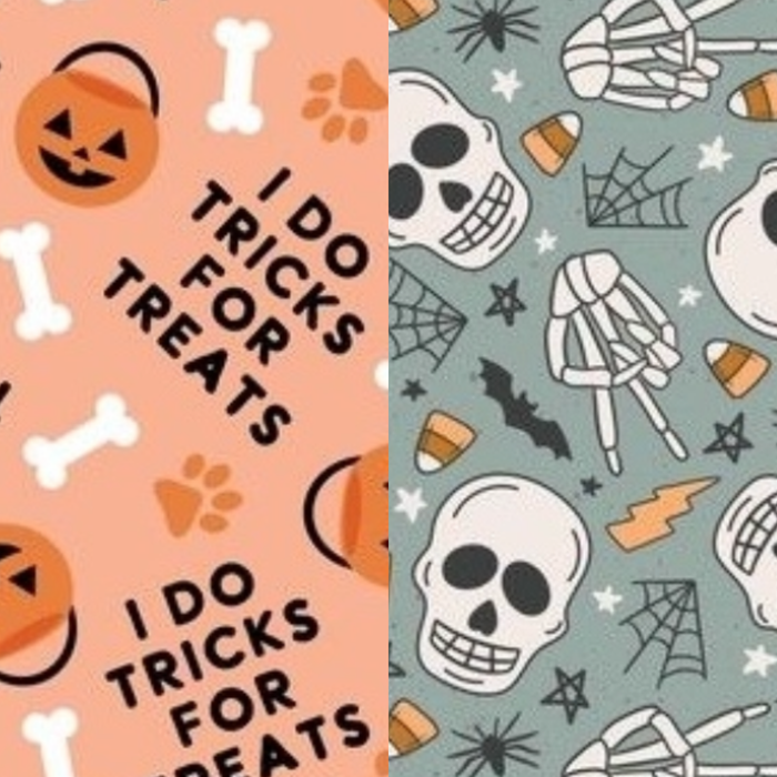 Rad Skelly Pet Bandana