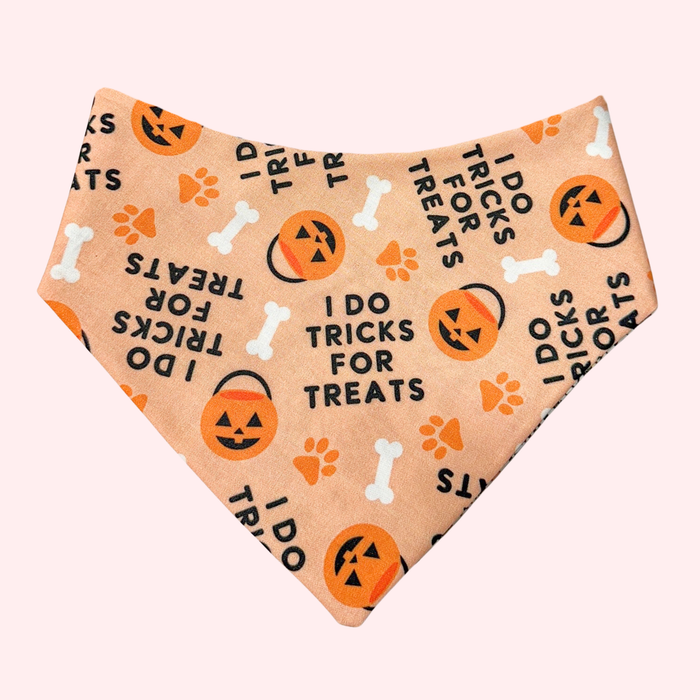 Rad Skelly Pet Bandana