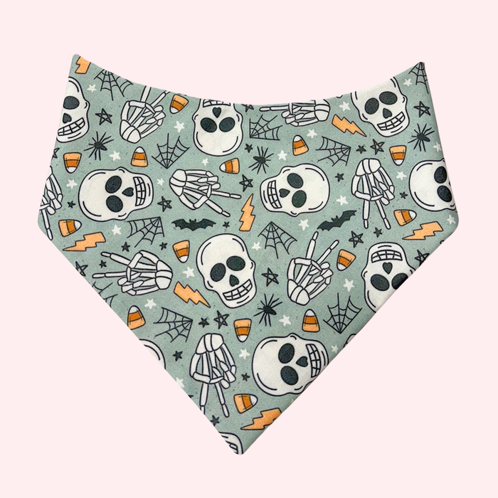 Rad Skelly Pet Bandana