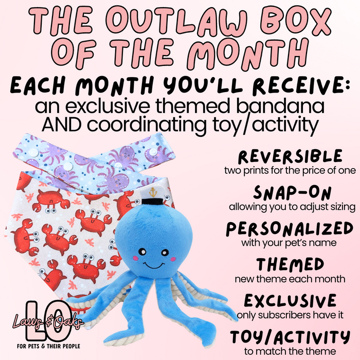 The Outlaw Box Of The Month Subscription