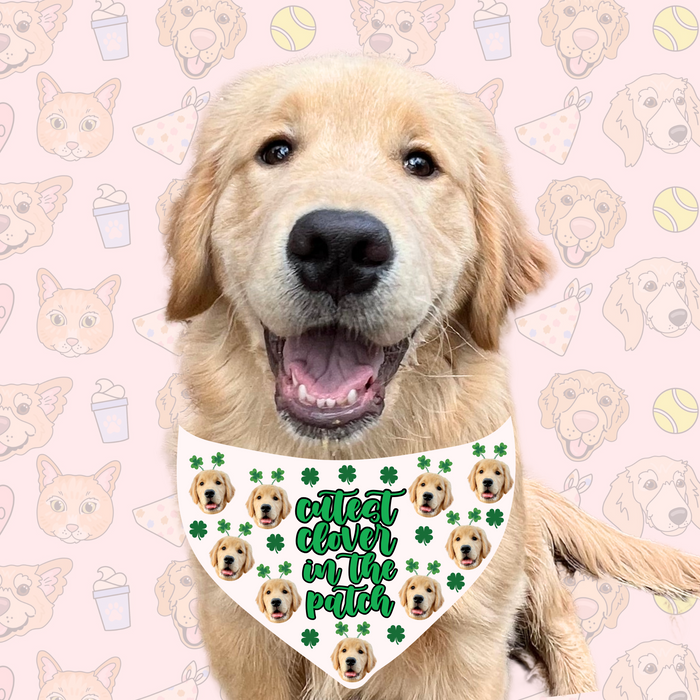 Cutest Clover In The Patch Pet Bandana