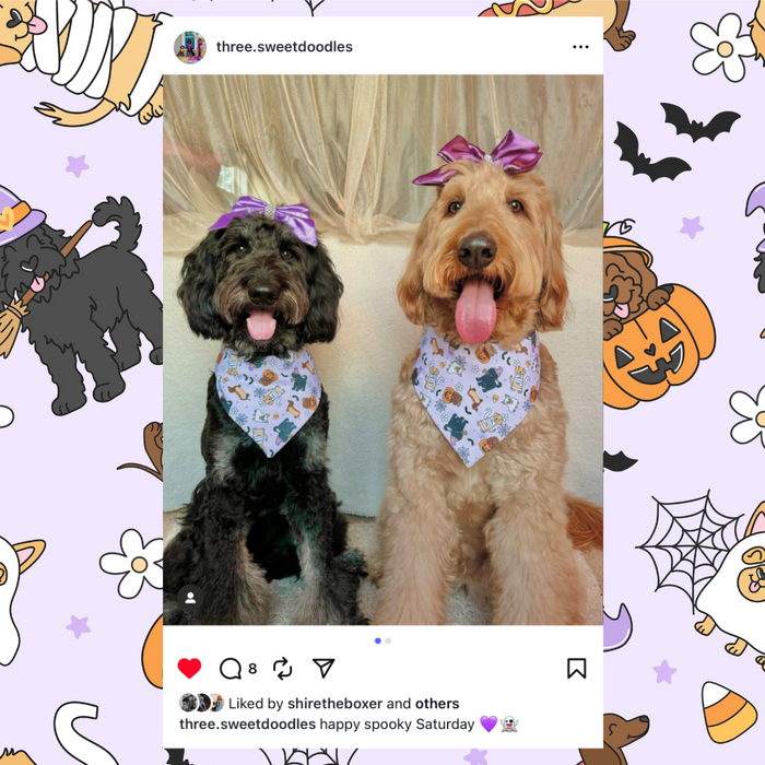 Spooky Dogs Pet Bandana