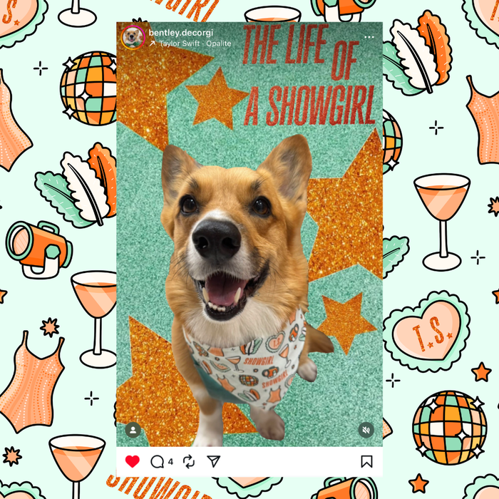 Life of a Show Dog Pet Bandana
