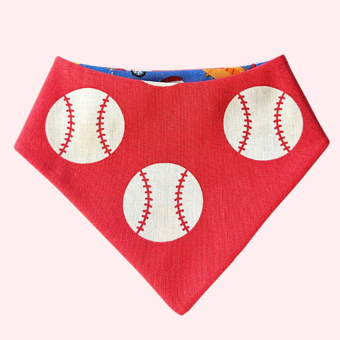 Ball Game Pet Bandana