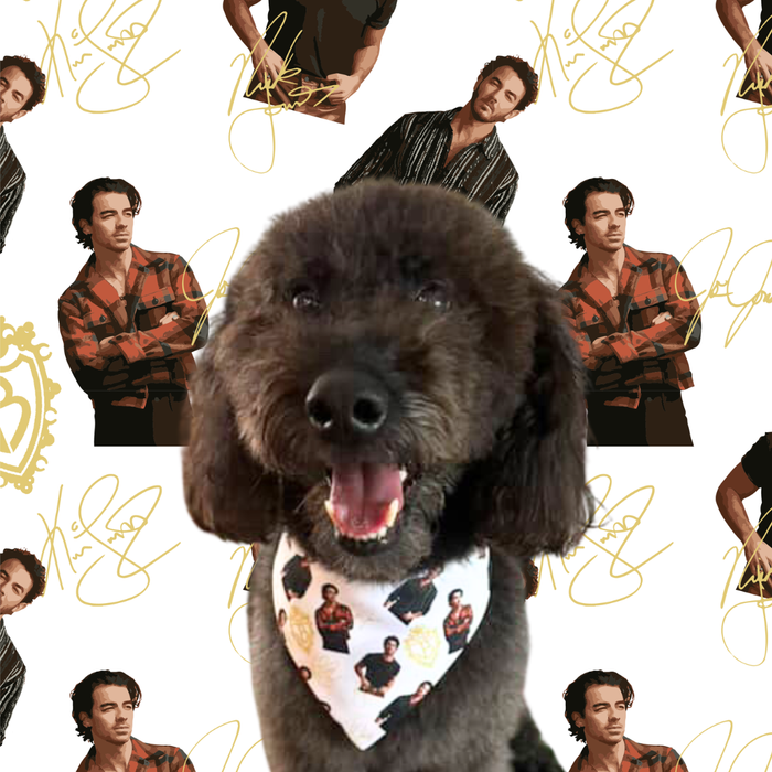 Pawnas Brothers Pet Bandana