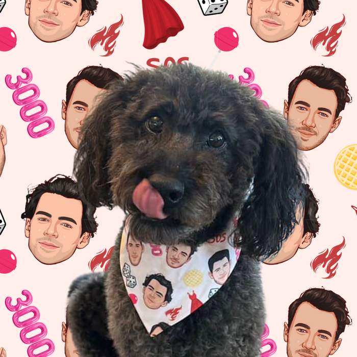 Pawnas Brothers Pet Bandana
