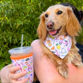 Vacation Mode Reversible Dog Bandana