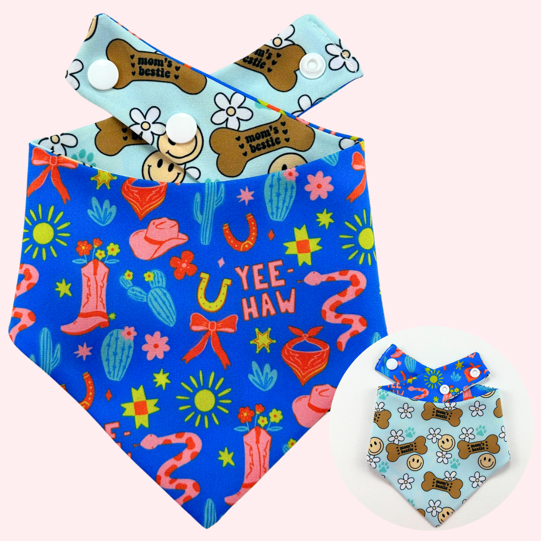 Yee Haw & Paws Reversible Dog Bandana
