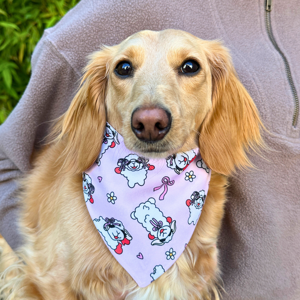 Mom's Bestie Reversible Dog Bandana