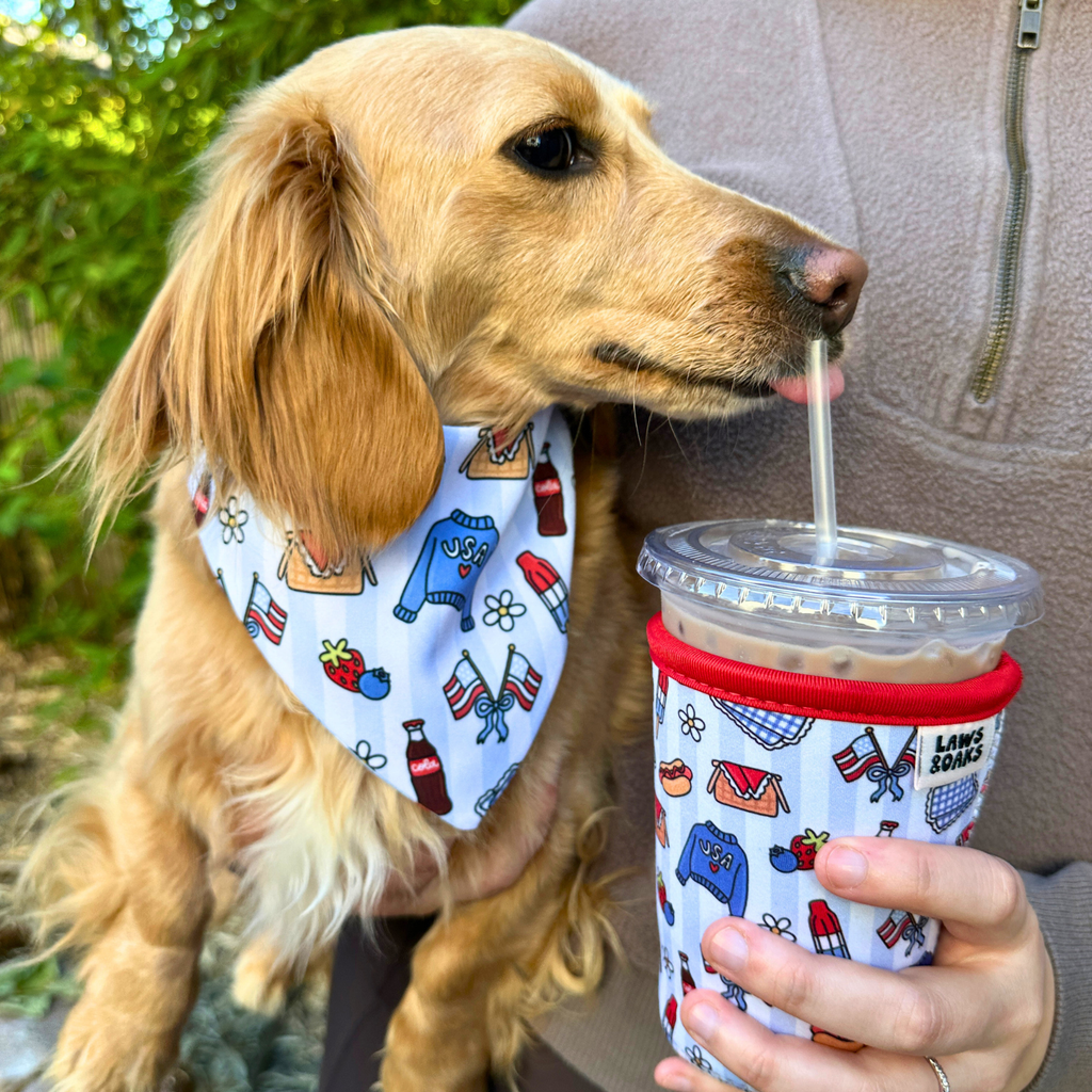 Summer in the USA Reversible Dog Bandana