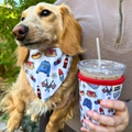 Summer in the USA Reversible Dog Bandana