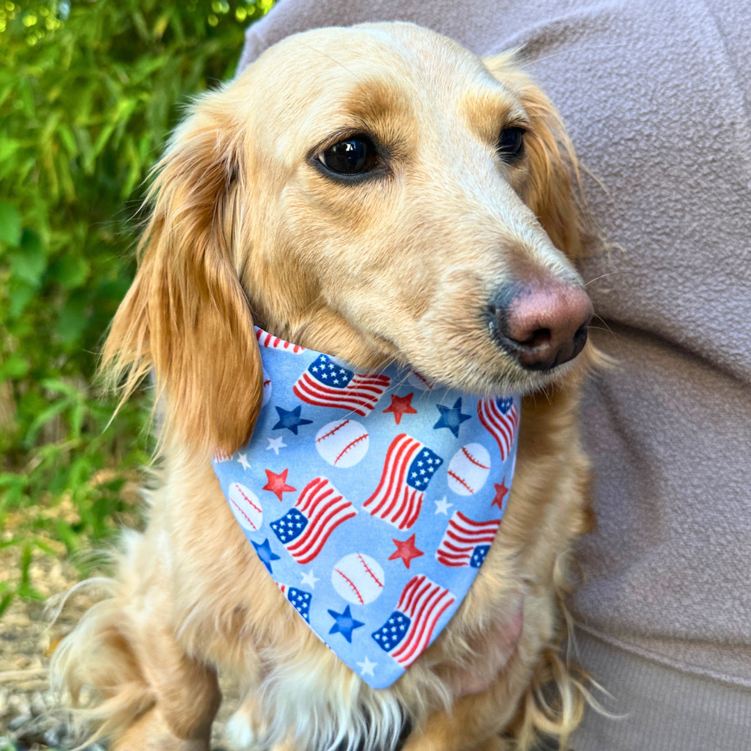 Summer in the USA Reversible Dog Bandana