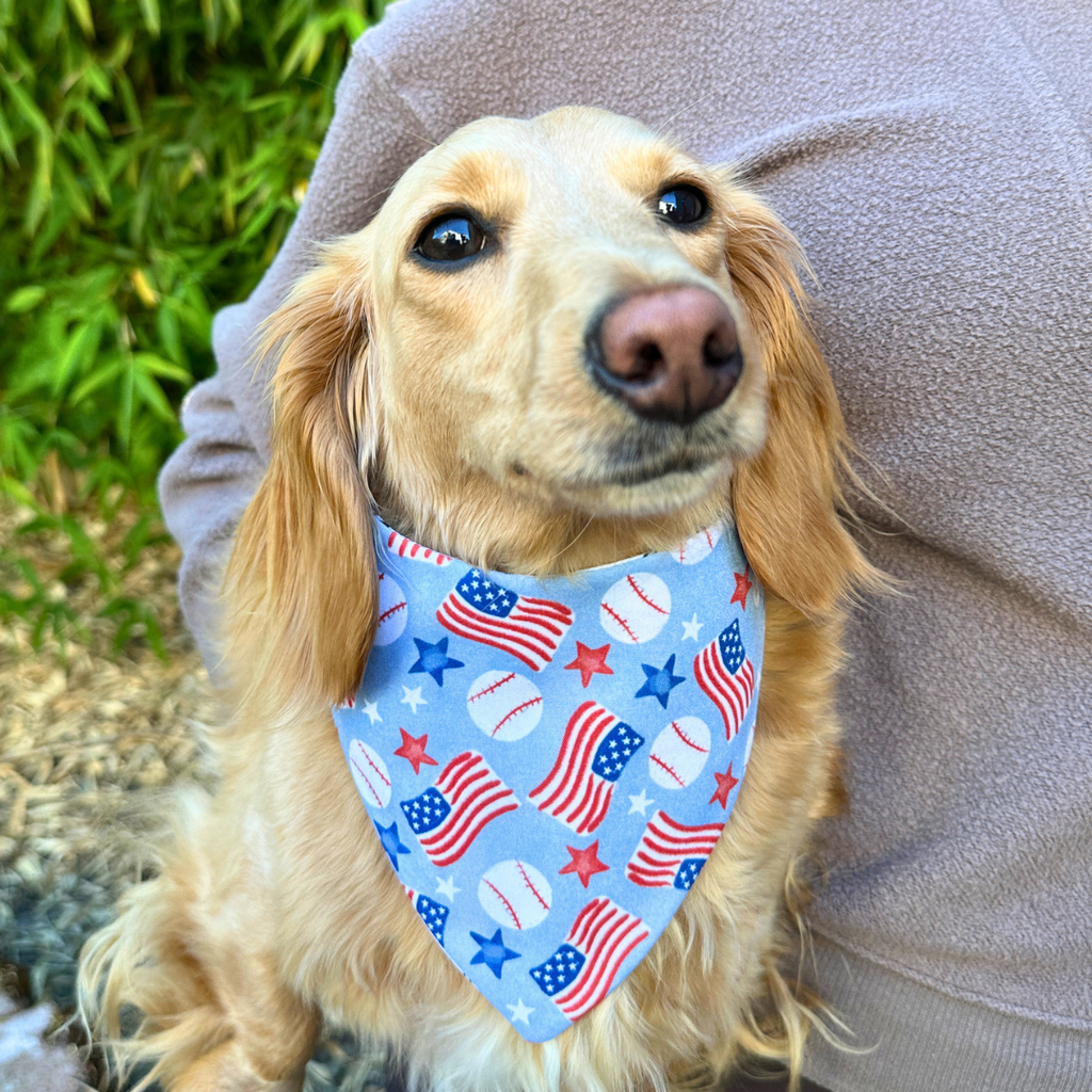 Summer in the USA Reversible Dog Bandana