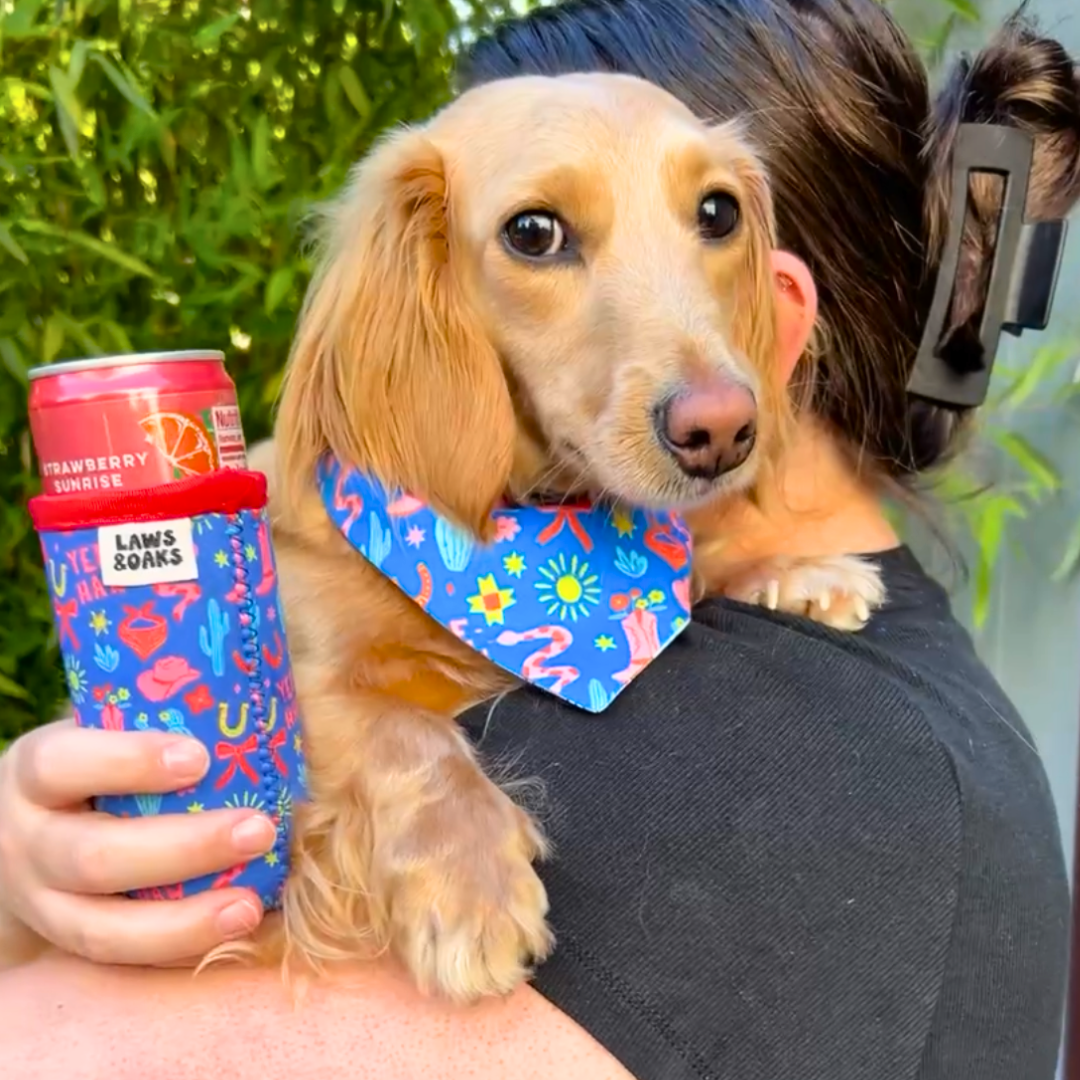 Yee Haw & Paws Reversible Dog Bandana