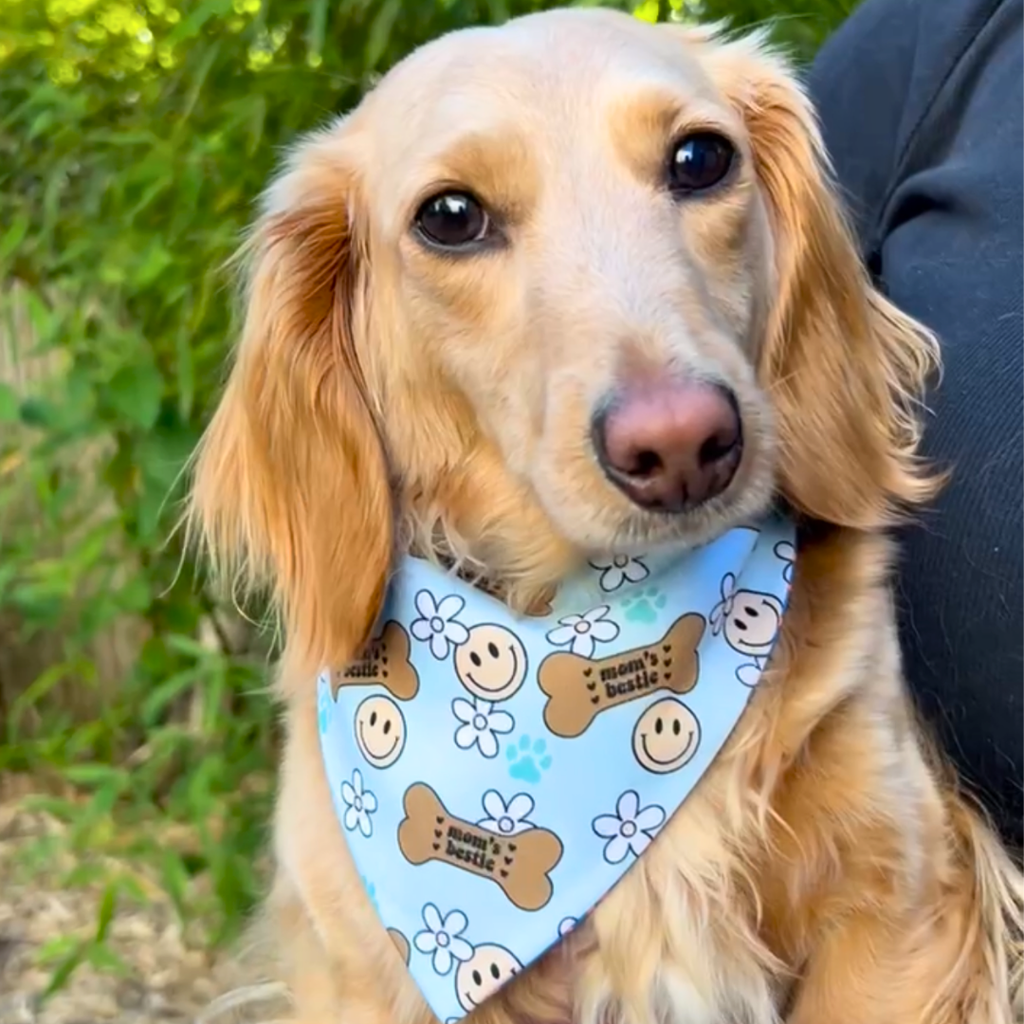 Yee Haw & Paws Reversible Dog Bandana