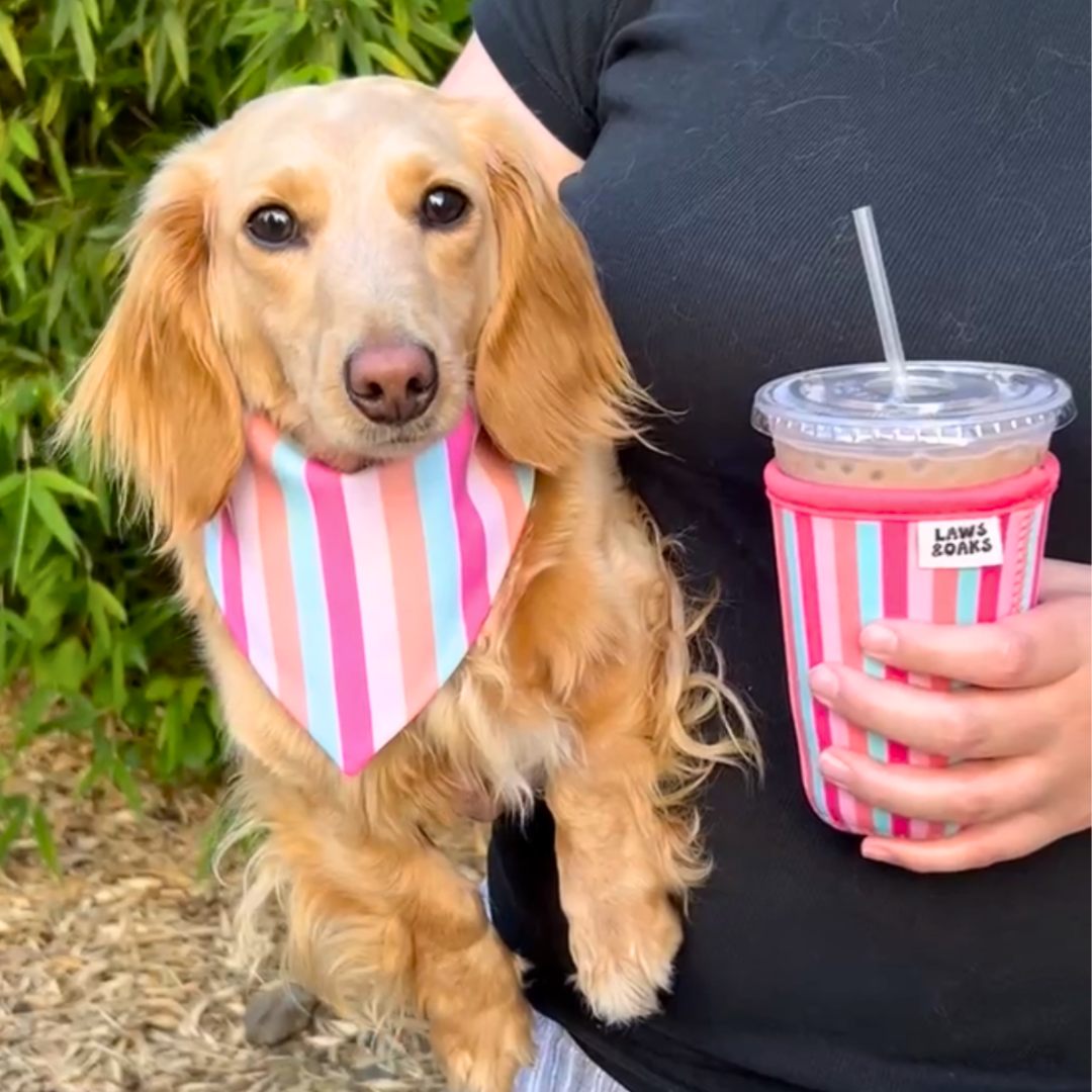 Cabana Club Reversible Dog Bandana