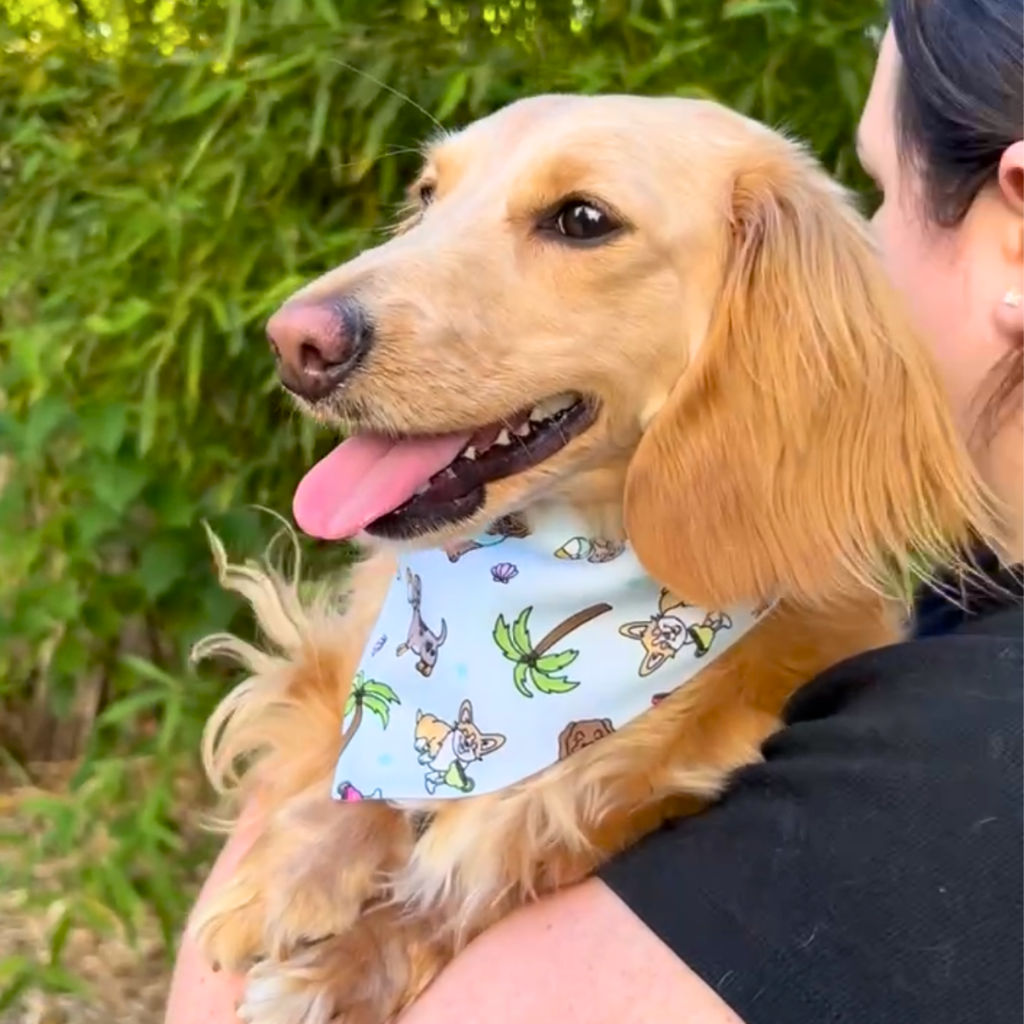 Cabana Club Reversible Dog Bandana
