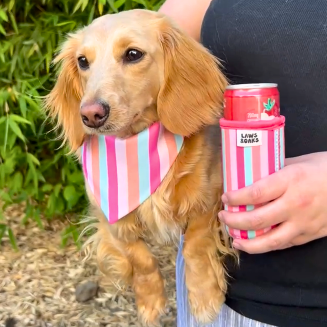 Cabana Club Reversible Dog Bandana