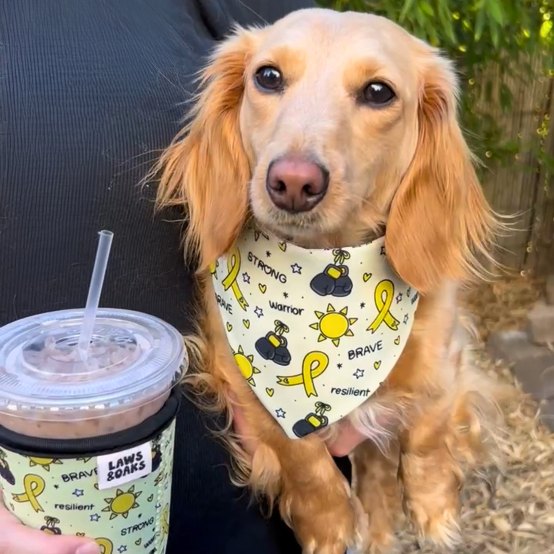 Team Jax Reversible Dog Bandana