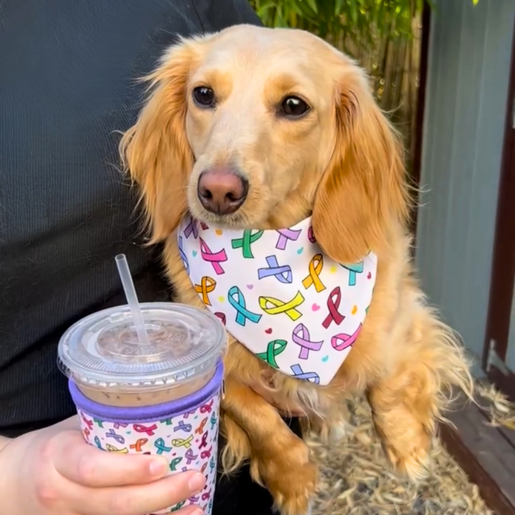 Ribbon of Hope Drink Sleeve