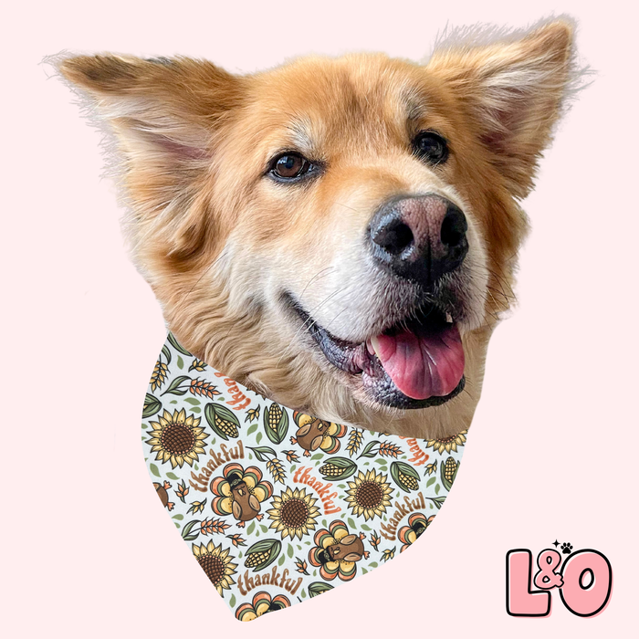 Thankful Pet Bandana