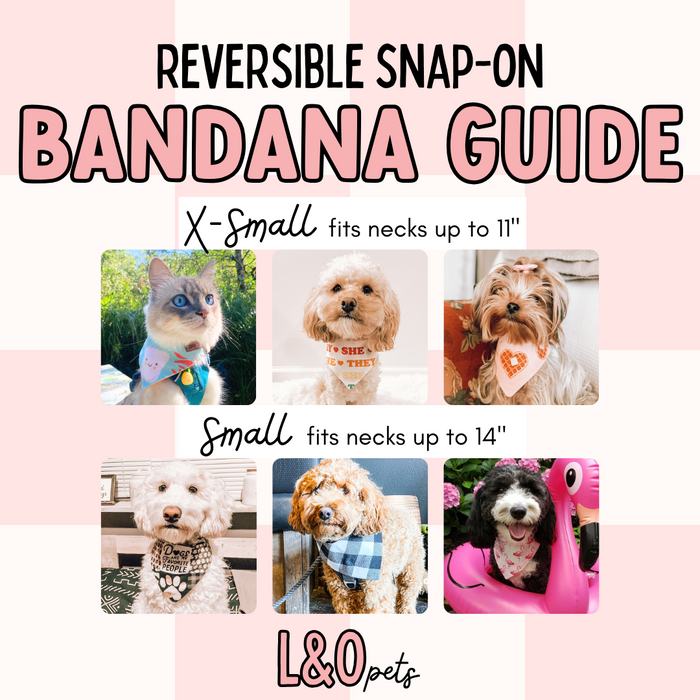 Go Taylor's Boyfriend Reversible Snap-on Pet Bandana, Dog Bandana, Cat Bandana, Chiefs, Football, Super Bowl